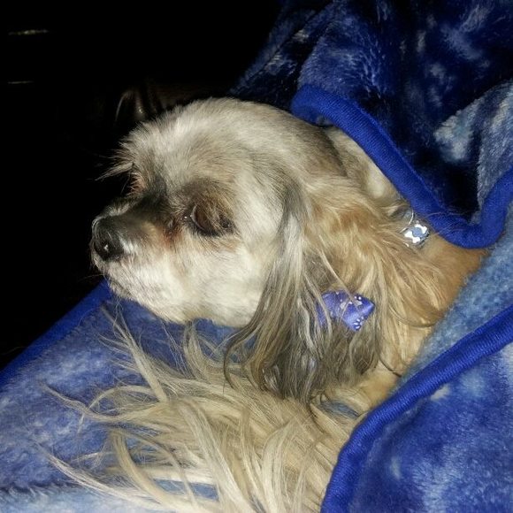 Meet your Posher, Clare - Picture 1 of 1